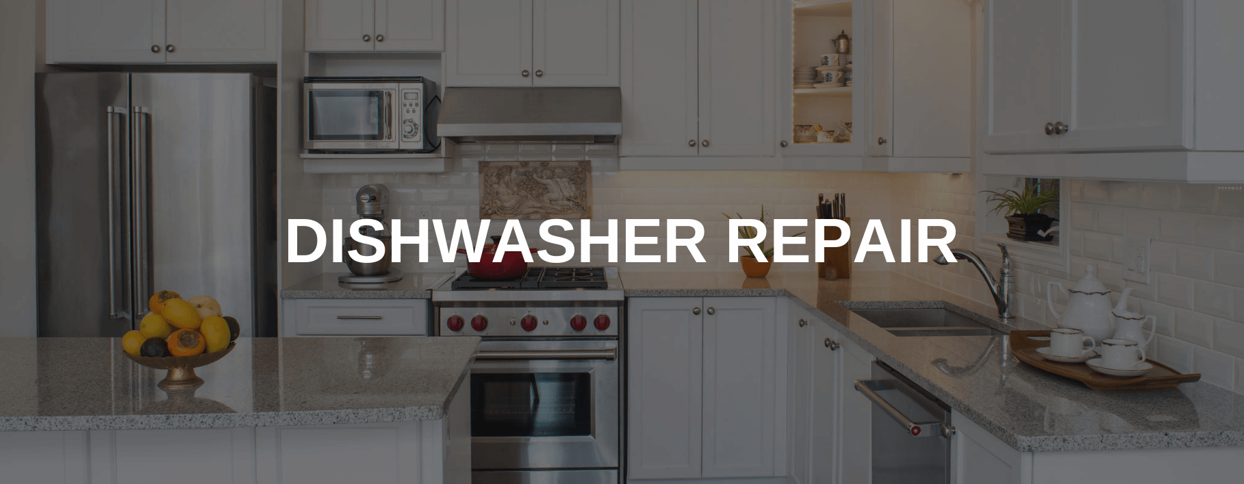 dishwasher repair milipitas